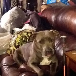 Meet your Posher, Mark